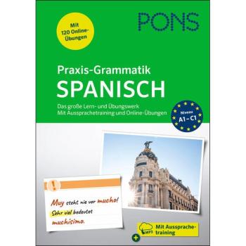 Praxis-Grammatik SPANISCH