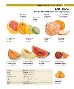 Bildwörterbuch SPANISCH