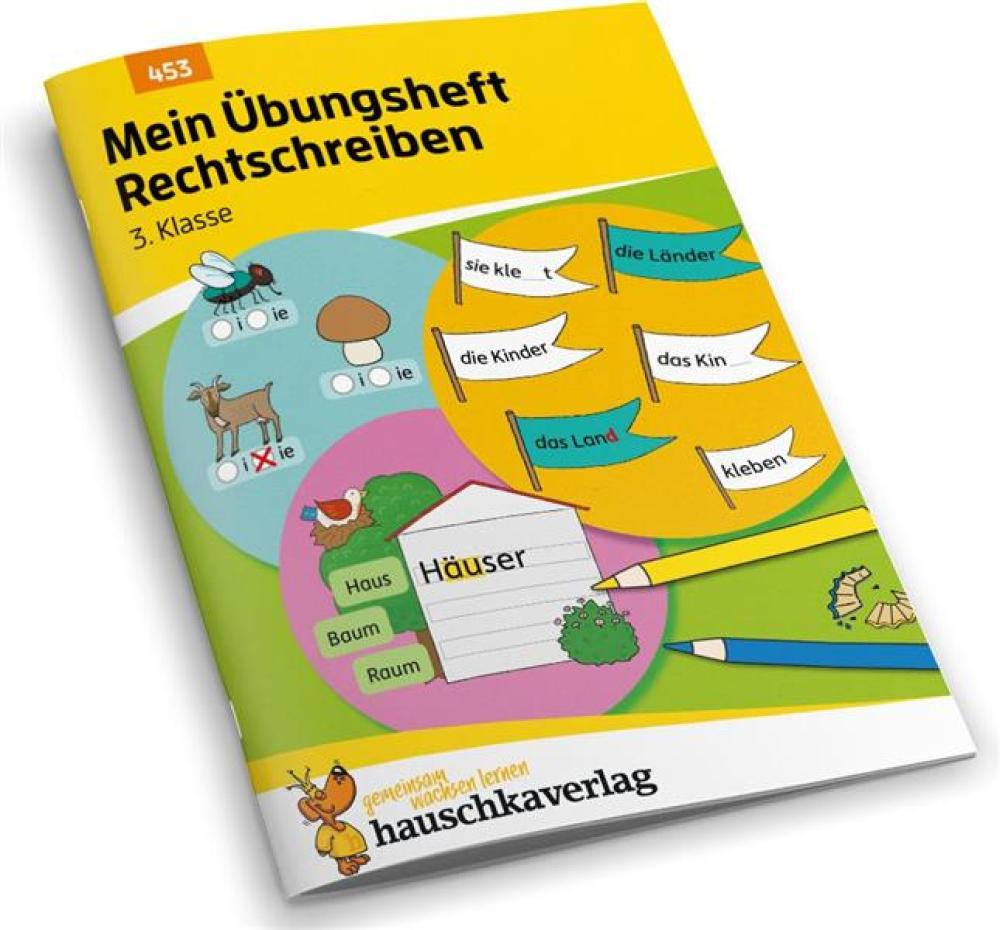 Mein Übungsheft Rechtschreiben 3. Klasse