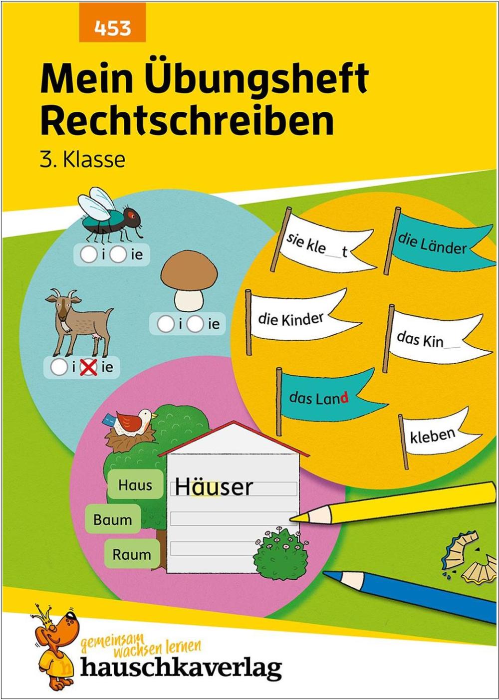 Mein Übungsheft Rechtschreiben 3. Klasse
