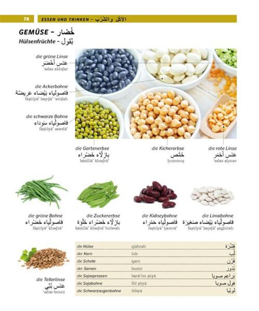 Bildwörterbuch ARABISCH