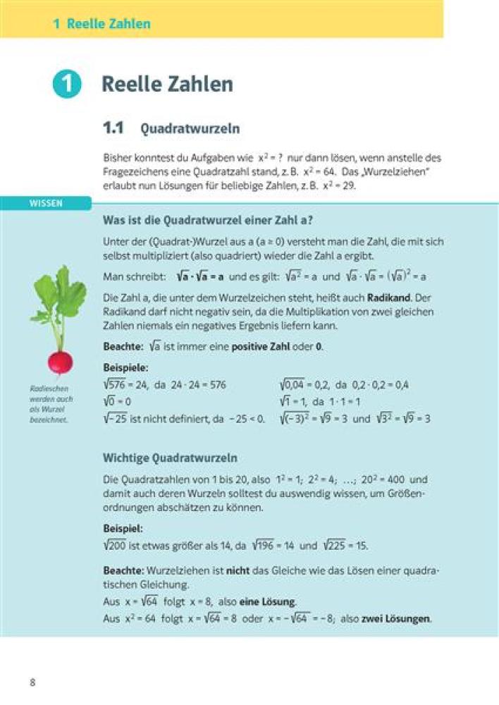 KomplettTrainer Gymnasium Mathematik 9. Klasse