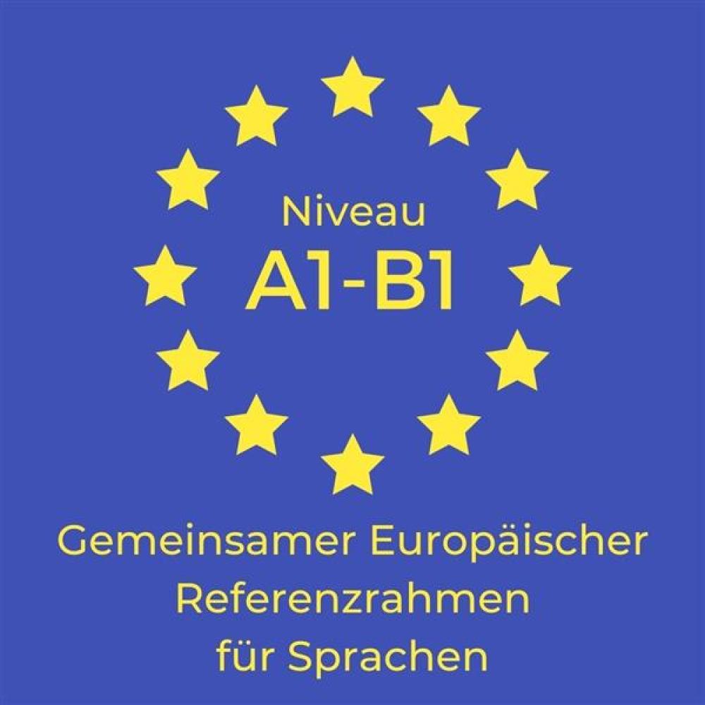 Schwedisch mit System - Der Intensiv-Sprachkurs