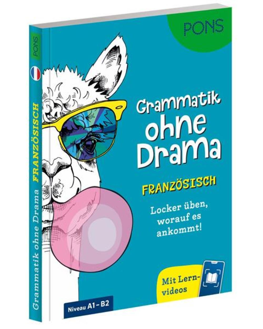 PONS Grammatik ohne Drama Französisch - Locker üben, worauf es ankommt!