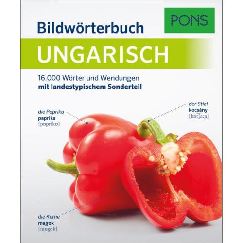 PONS Bildwörterbuch Ungarisch - 16.000 Wörter & Wendungen